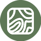 Corefy